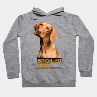 spoiled dog design 2020 Hoodie